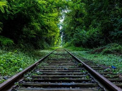 AI-Driven Software Market Trends Delivered by Web Summit Qatar 2026